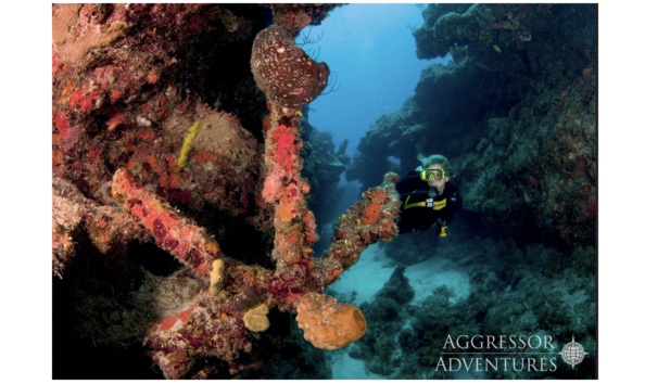 Big image screen shot 2021 10 18 at 11.25.35 am