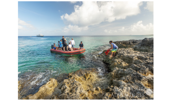 Big image screen shot 2021 10 18 at 11.28.17 am