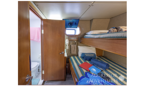 Big image screen shot 2021 10 18 at 11.32.28 am