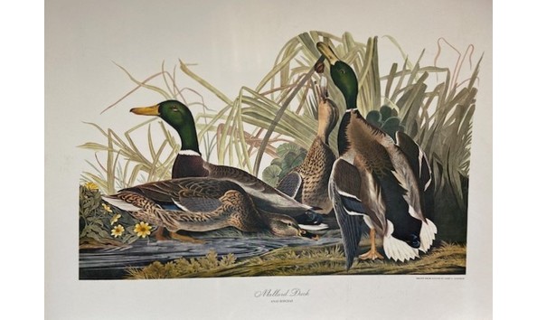 Big image img 0208  2 