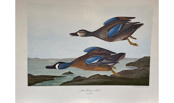 Big image img 0209  2 