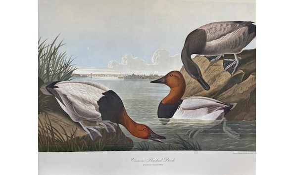 Big image img 0210  2 