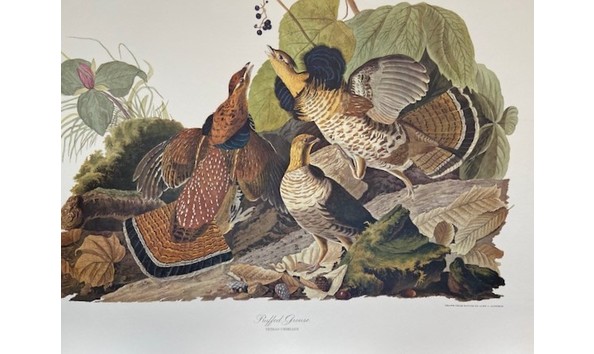 Big image img 0211  2 