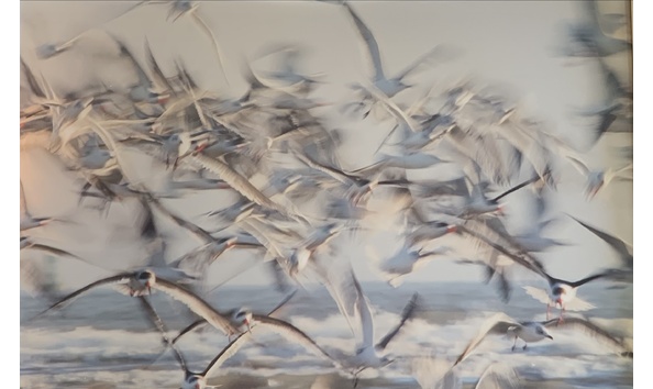 Big image amiet exodus