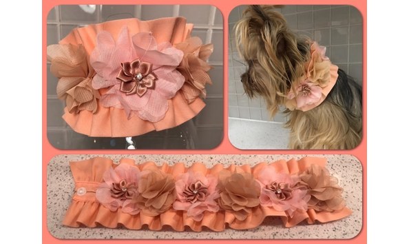 Big image flower collar peach 4