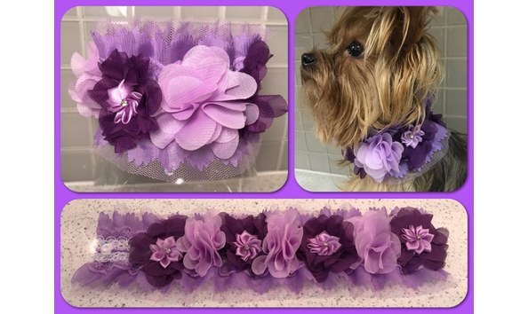 Big image flower collar violet 4
