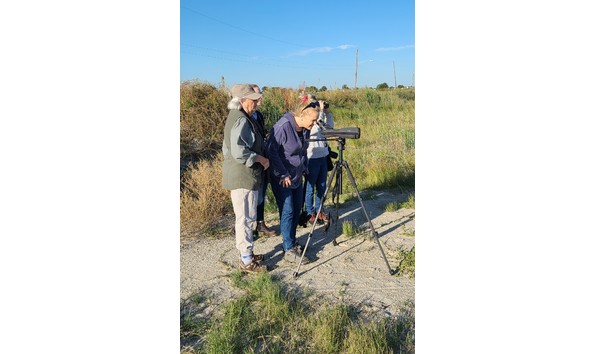 Big image aa odonnel birding1