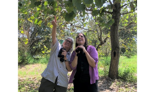 Big image aao and ad birding photo