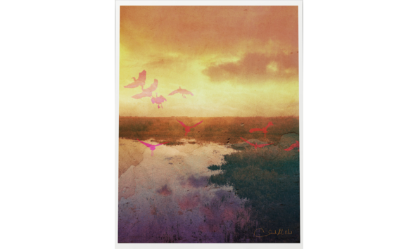 Big image screen shot 2021 10 26 at 2.20.04 pm