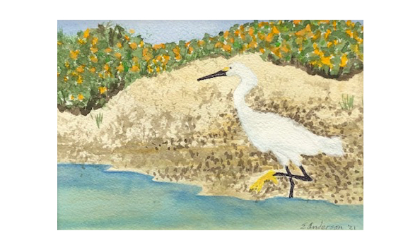 Big image img 1736 copy