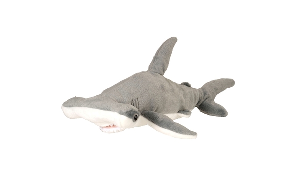 Big image hammerhead shark