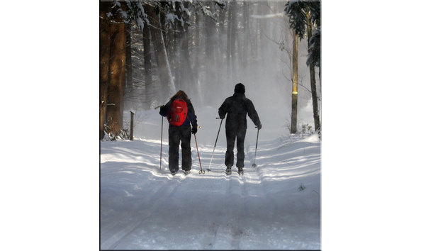 Big image cross country ski image 1of 2