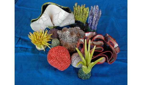 Big image brigittecoral