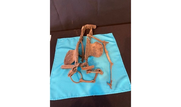 Big image 77 headstall