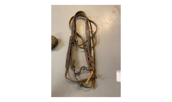 Big image 99 bridlebit