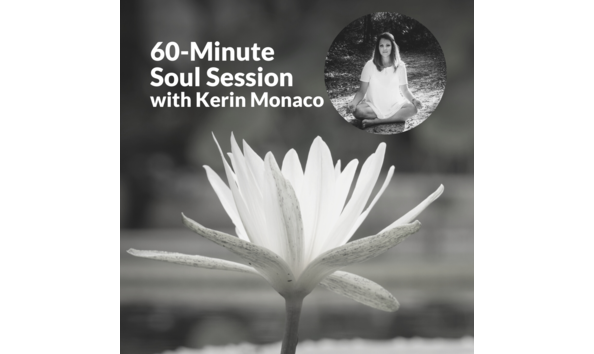 Big image harvest auction images 2021  9 