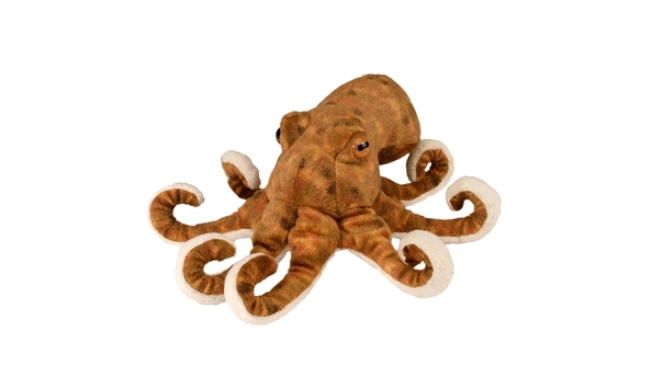 Big image octopus