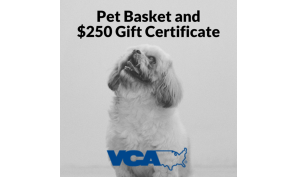 Big image harvest auction images 2021  12 