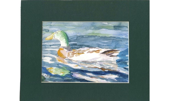 Big image canavan mallard copy