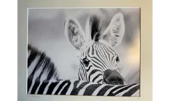 Big image img 1869 copy