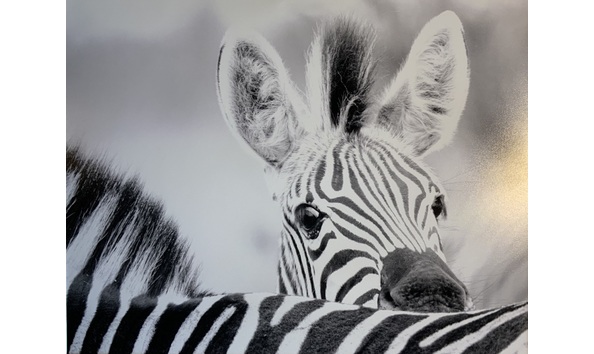 Big image img 1870 copy