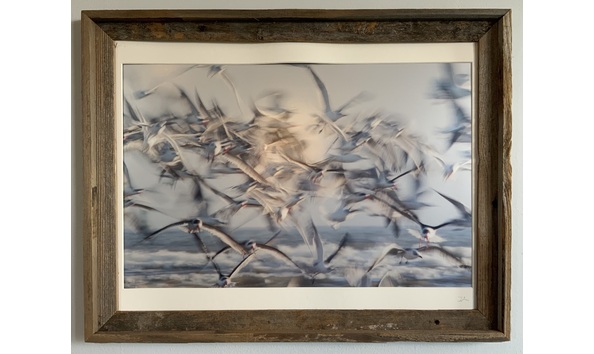 Big image img 1879 copy