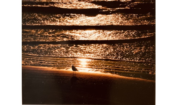 Big image img 1906 copy