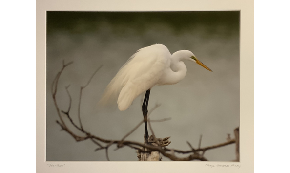 Big image img 1908 copy