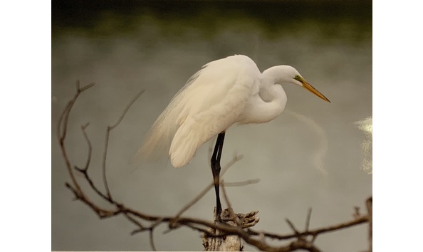 Big image img 1909 copy