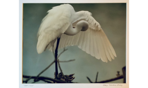 Big image img 1914 copy