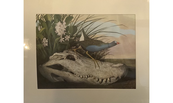 Big image img 1918 copy