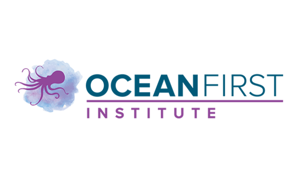 Big image ofi logo  6 