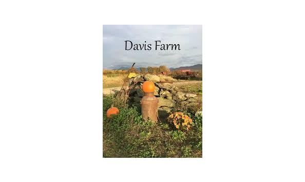 Big image davis