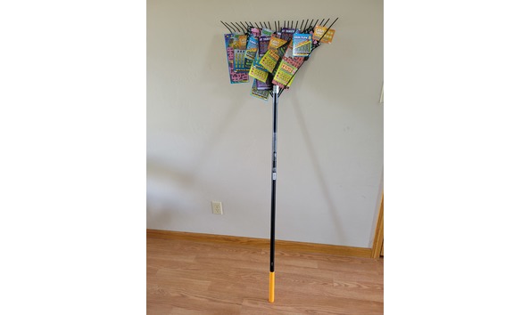 Big image 20211107 115650