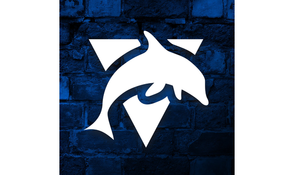 Big image blue dolphin 1080x1080