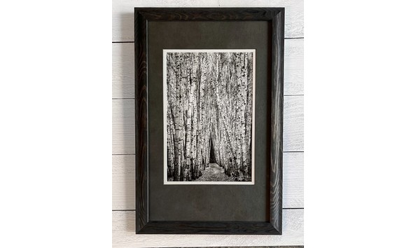 Big image greg photo   white birches