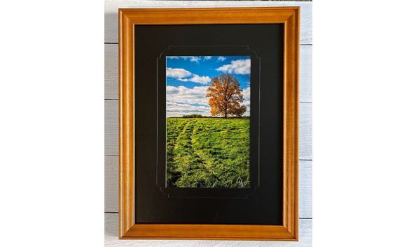 Big image greg photo   the tree