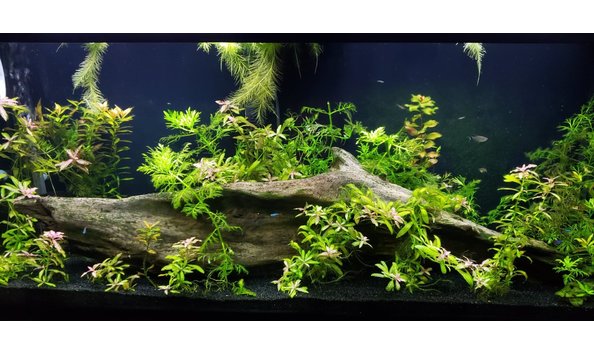 Big image aquarium 1