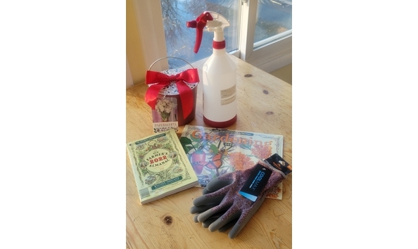 Big image gardening caddy contents 1 354x532