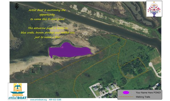 Big image 2. your name here marsh pond 3acres copy