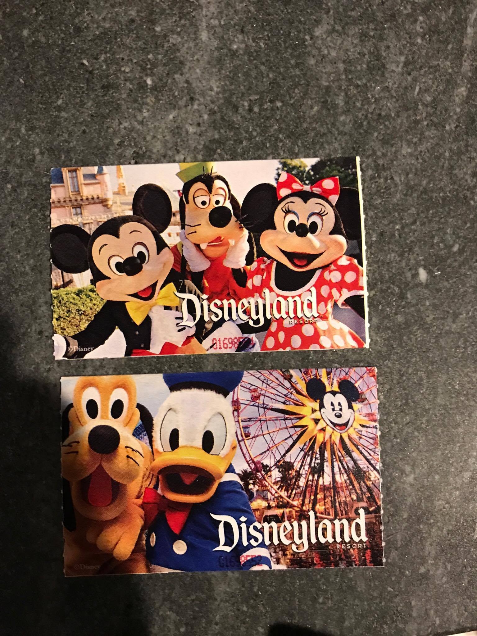 Dedisneyland Annual Passes California Residents - ebet768