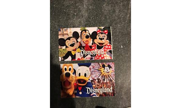 Big image brandon renken disneyland  1 