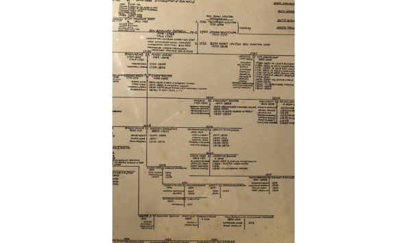 Big image family tree 2