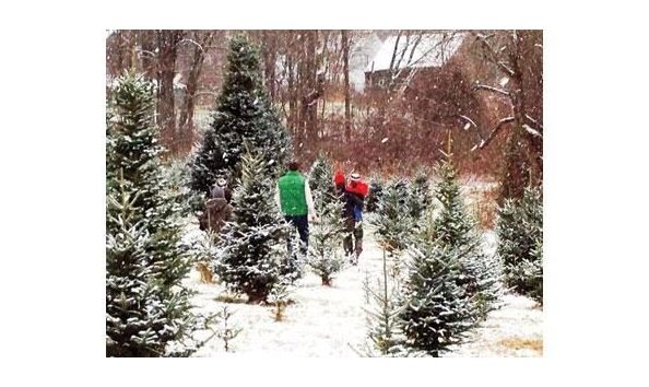 Big image baiting brook meadow farm