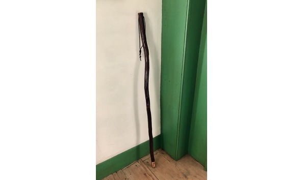 Big image walking stick 1