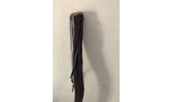 Big image walking stick 2