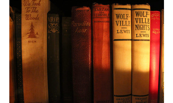 Big image the storykeeper books on shelf closeup 1030x687