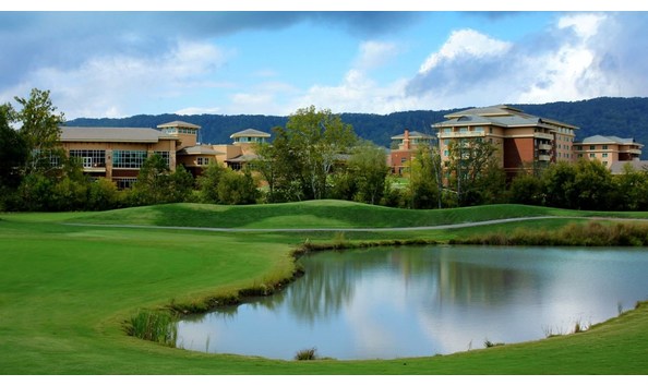 Big image cattails golf4