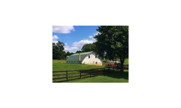 Big image mini magick20211223 13347 fautya