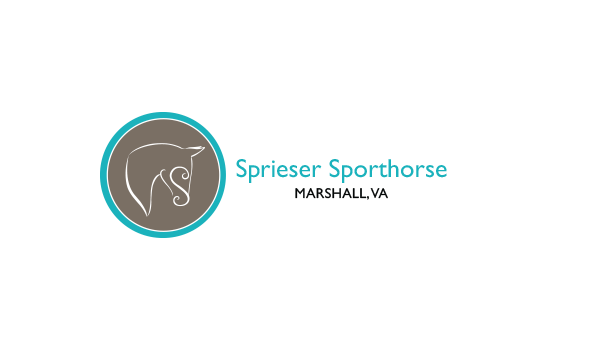 Big image mini magick20211223 13347 15ob5z5